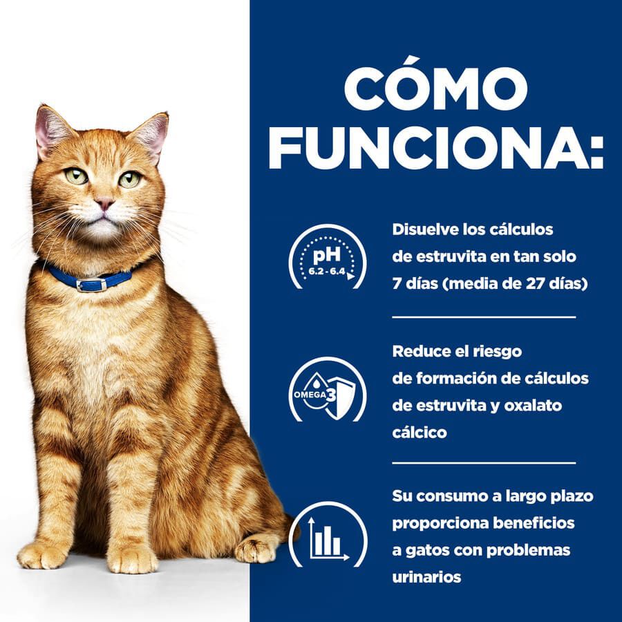 82 g Hill&rsquo;s Prescription Diet c/d Urinary Care Pollo lata para gatos, , large Imagen numero 3